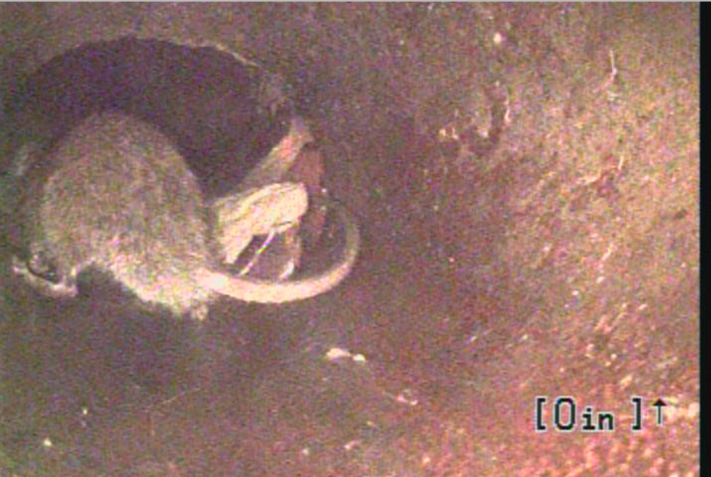 6 TerrifyingbutTrue Drain Cleaning Stories