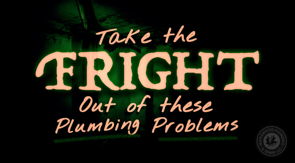 Take the fright out of these 5 plumbing problems