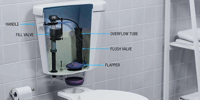 Parts of a toilet diagram with tank cutout to show internal mechanisims.