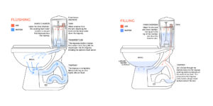 Parts of a Toilet Diagram: Flushing vs Filling