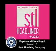 STL post dispatch award 2023