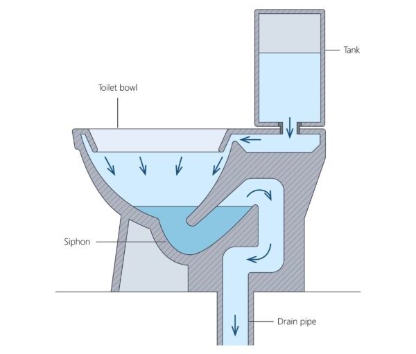 Cross-section diagram of toilet.