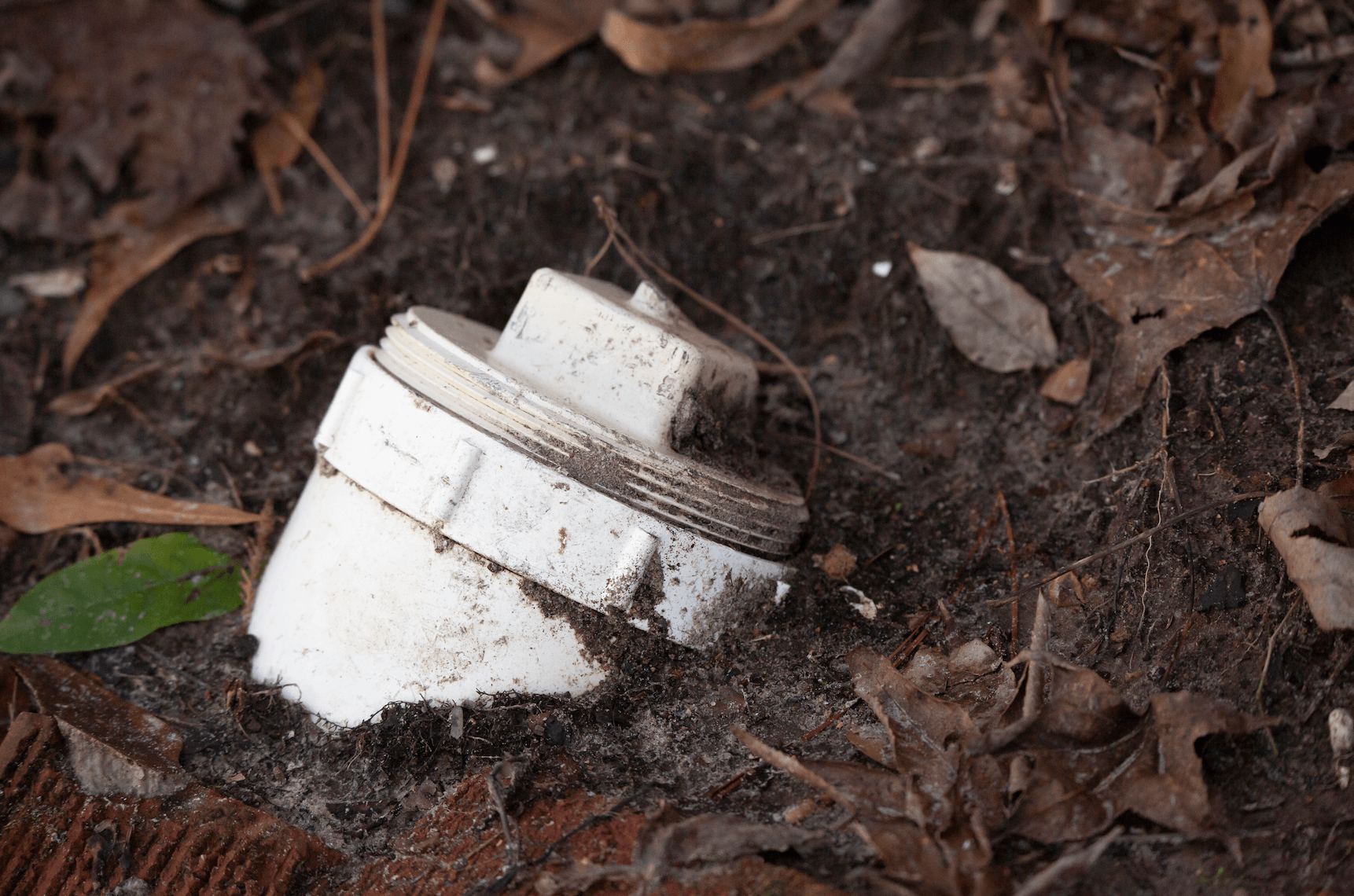 Dirty white plastic cap half-buried in soil among fallen leaves