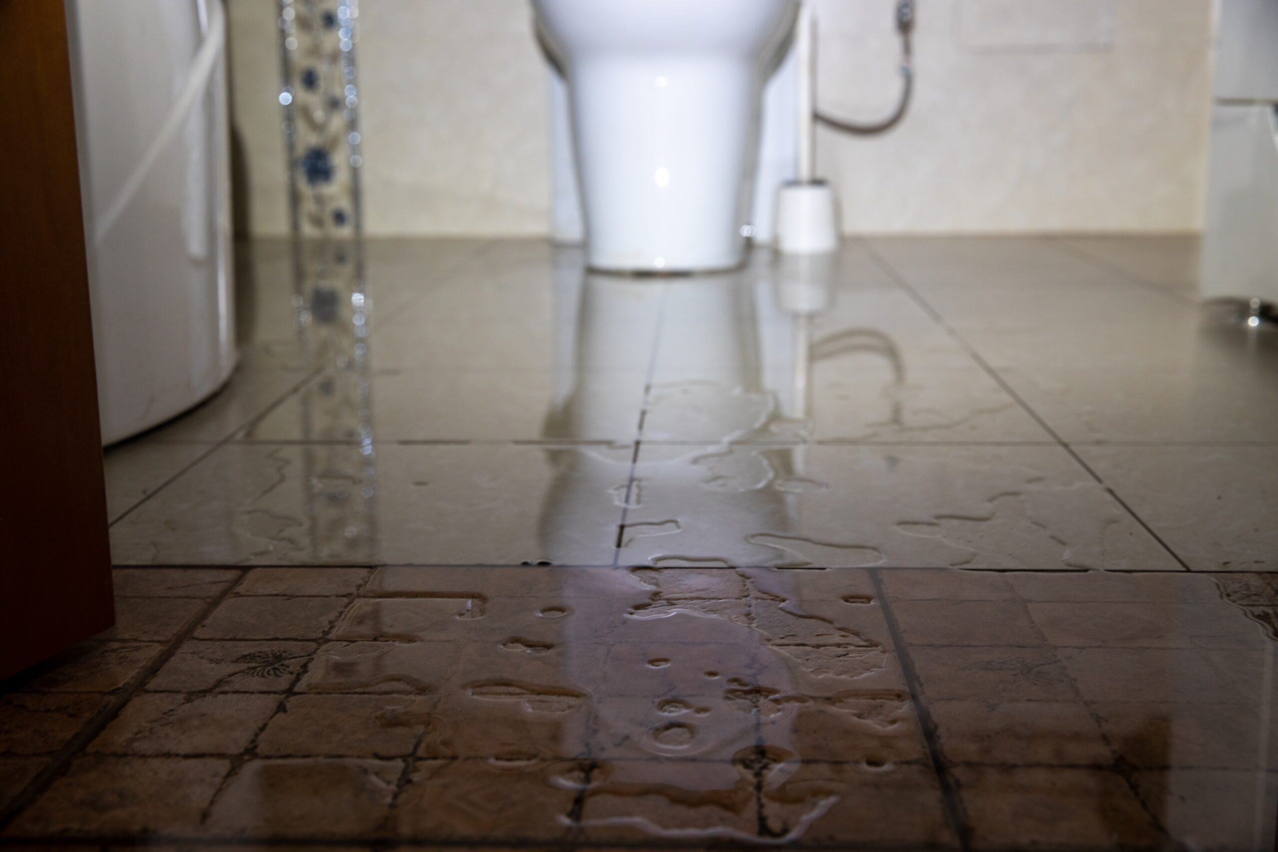 Water damage due a leaking toilet. Moisture problem and wet floor.